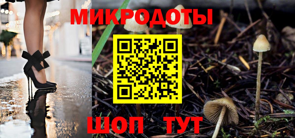 Галлюциногенные грибы Psilocybine cubensis Родники