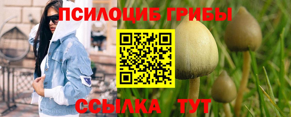 Галлюциногенные грибы Magic Shrooms  Вход с VPN  Родники 
